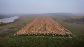 Bucks and Birds thumbnail