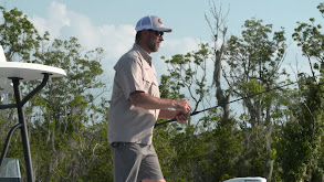 Take a Swim thumbnail