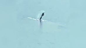 Mermaid in Nashville and More thumbnail