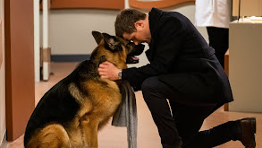 Dog Days are Over thumbnail