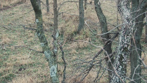 Working Class Whitetails, Part 1 thumbnail