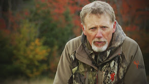 Search for a Woodland Stag 1 thumbnail