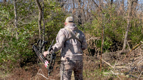 Calling Whitetails thumbnail