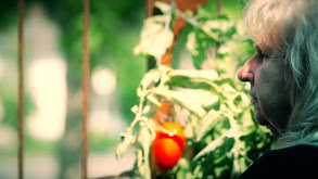 The Trouble on Dill Creek Farm thumbnail