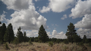 Luck of the Draw Part 2 thumbnail