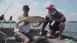 Extracting Huge Summer Walleyes From the Depths thumbnail