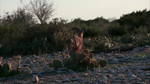 Heaven Part 1 thumbnail