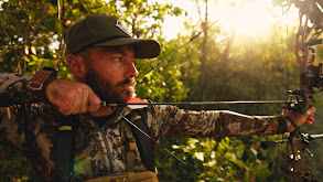 Bedding Thicket thumbnail