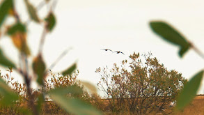 Ultimate Hudson Bay Adventure thumbnail