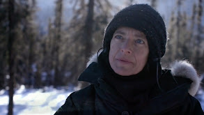 Arctic Discipline thumbnail