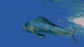 Guatemala Part 2 thumbnail