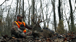 River Bend Mississippi thumbnail