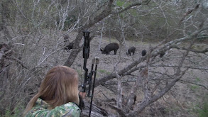 The Boneyard thumbnail