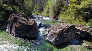 My Old Pal thumbnail