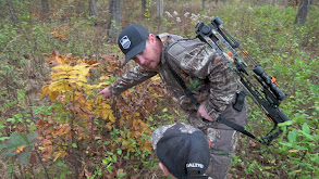 Hunting The October Lull thumbnail