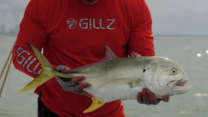 Gags and Snook thumbnail