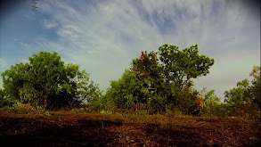 Fish Freaks thumbnail