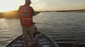 Rockets, Vanilla Body Spray, and Fog thumbnail