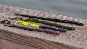 Mega Worms thumbnail