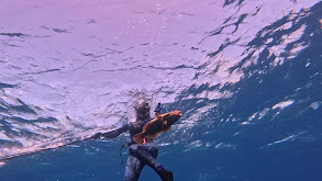 Pushing Our Limits on Polespear -MONSTER Hogfish & Epic Bahamas Spearfishing thumbnail