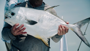 Folds of Honor thumbnail