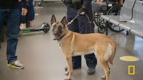 Cocaine Granny thumbnail