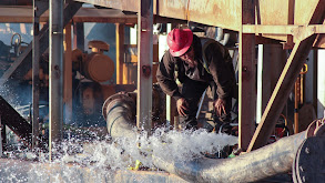 Hundreds of Ounces thumbnail