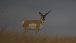 Zero to Hero thumbnail