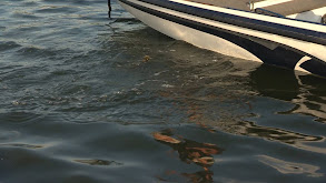 The Gospel According to Bass thumbnail