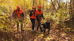 Bears, Grouse & Bucks thumbnail