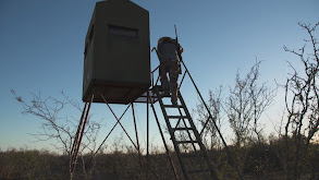 Late Season thumbnail