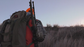 Getting Close in Colorado thumbnail