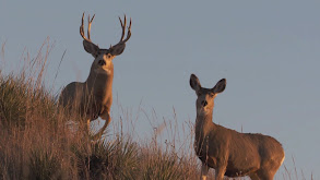 Best of Season 7: 2018 thumbnail