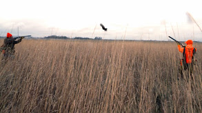 Indiana Pheasants & Quail thumbnail