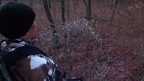 Ron & Jerry thumbnail