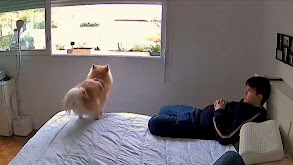 Sterling and Lolo Wood CCXXIX thumbnail