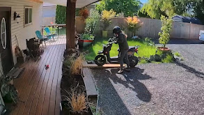 Sterling and Lolo Wood CLXXXV thumbnail