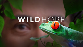 Wild Hope thumbnail
