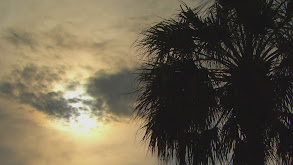 Mystery at Ascot Estates thumbnail