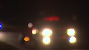 All Angles - I'm Albert Einstein thumbnail