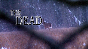 Face to Face thumbnail