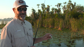 Take a Swim-For Real thumbnail