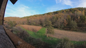 The Story of Splitters (200" whitetail) thumbnail