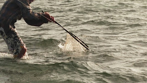 Tarpon Caye Lodge thumbnail