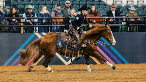 The American Performance Horseman thumbnail