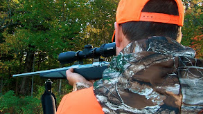 New Brunswick Mountain Moose thumbnail