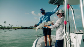 Fischer's Variety thumbnail