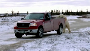 Sterling and Lolo Wood CCLXXI thumbnail