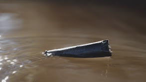 Duck Hunting 101 thumbnail