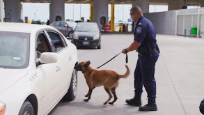 Dashing Through the Snow thumbnail